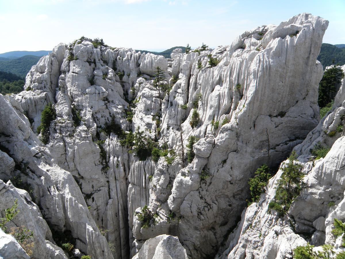 Chalet Calla Mrkopalj Kültér fotó