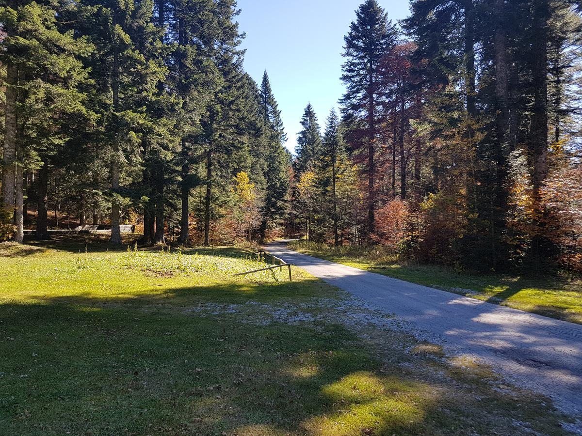 Chalet Calla Mrkopalj Kültér fotó
